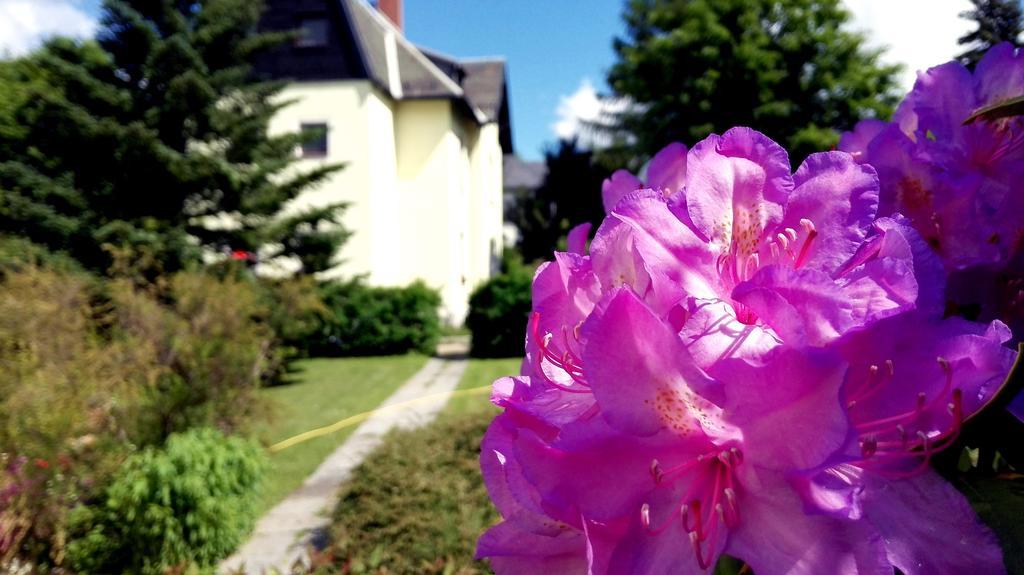 Ferienhotel Augustusburg Bagian luar foto
